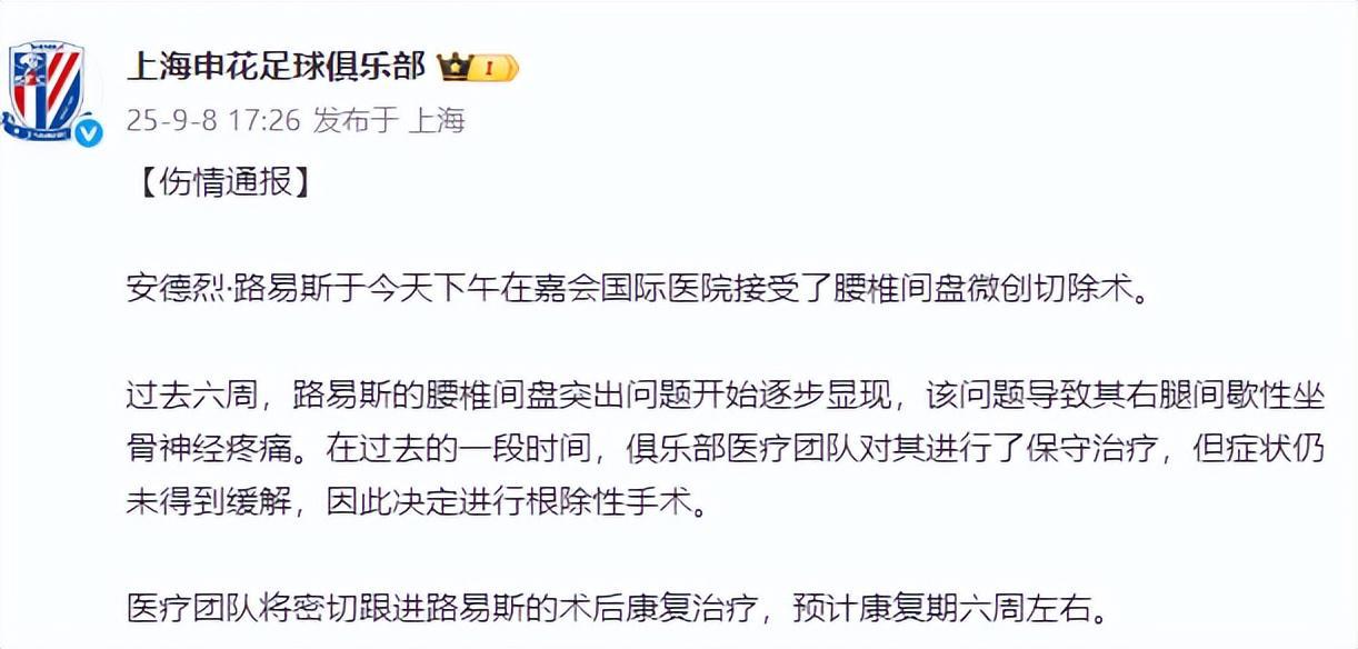 开云平台-路易斯伤停六周，申花最后七轮怎么踢？